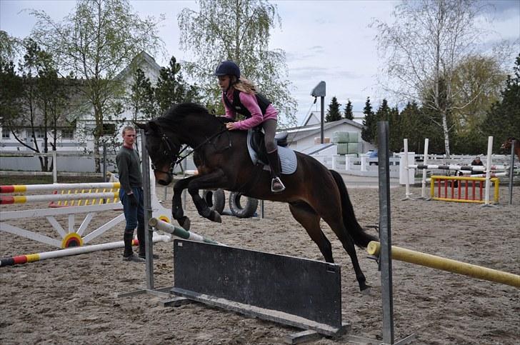 Anden særlig race Farmens Asterix - Første gang over "skakbrættet" (på den anden side er der skaktern ;b) Han sprang bare <3 d: Foto: RS-PHOTO (rebecca strøbæk) billede 11