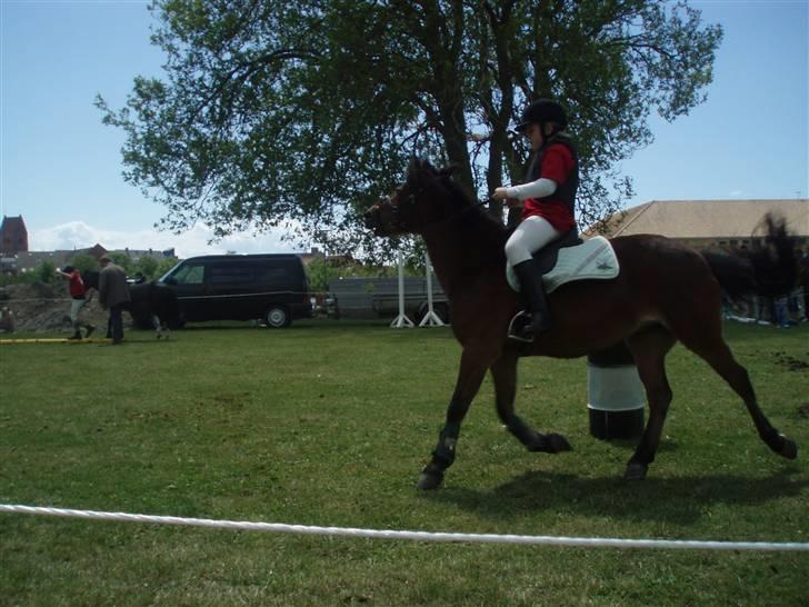 New Forest Team Sødrings Kitti - Ponylege  billede 9