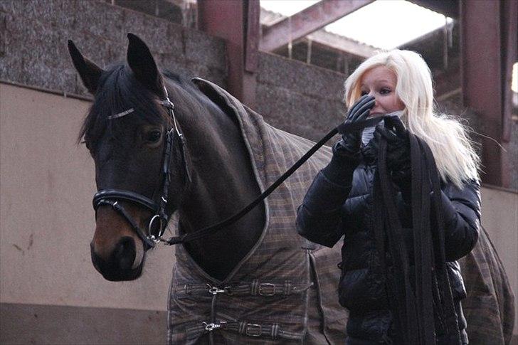 Oldenborg Drisdal's Faith - Foto: Malene Madsen billede 4