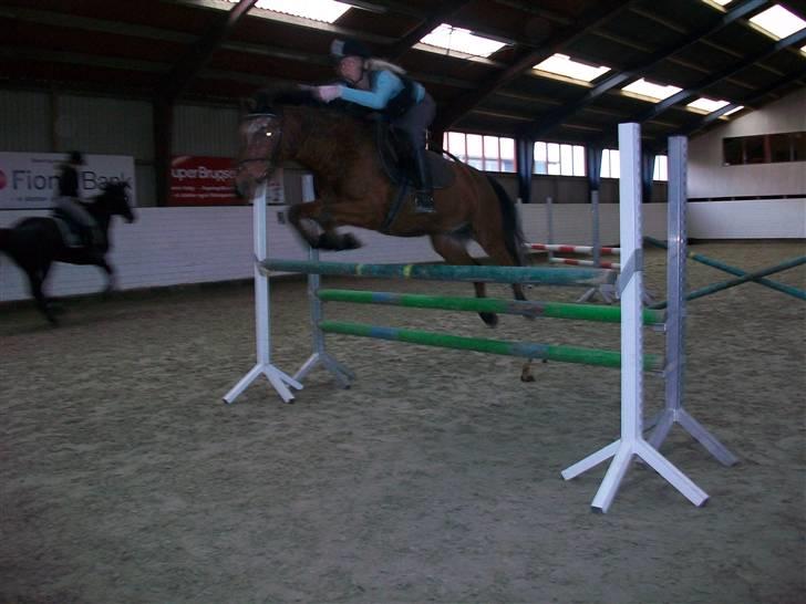 Anden særlig race Erik ;i <3 - Ca 90-100cm billede 1