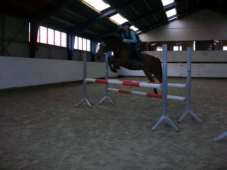 Anden særlig race Erik ;i <3 billede 3