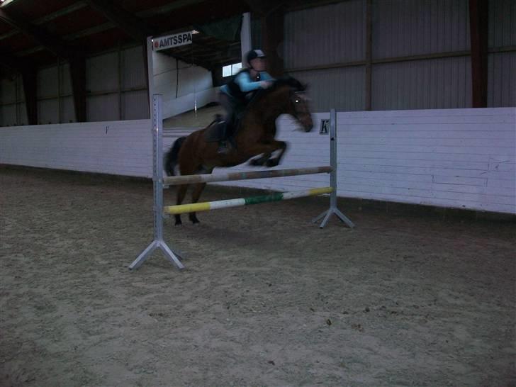 Anden særlig race Erik ;i <3 billede 4