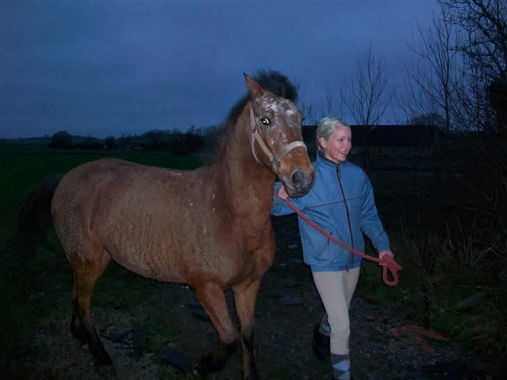 Anden særlig race Erik ;i <3 - Bar lidt beskidt ? (; haha basse<3  billede 7