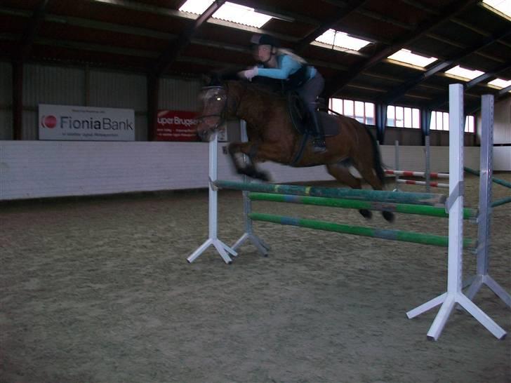 Anden særlig race Erik ;i <3 billede 8