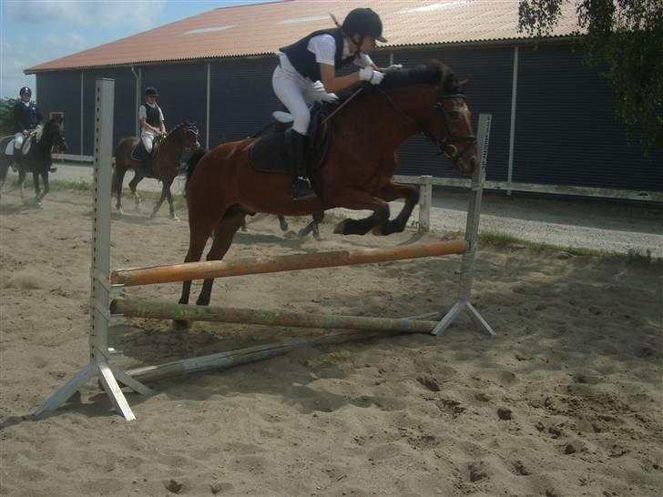 Anden særlig race Erik ;i <3 - Opvarming til stævne :) billede 9