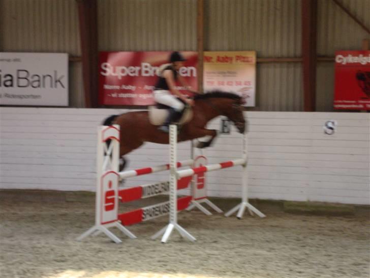 Anden særlig race Erik ;i <3 - 115cm ca til højdespring :´D <3 billede 10