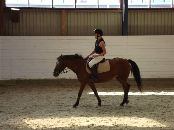 Anden særlig race Erik ;i <3 - Venter på det blir´ vores tur´ til højdespring :´D billede 11