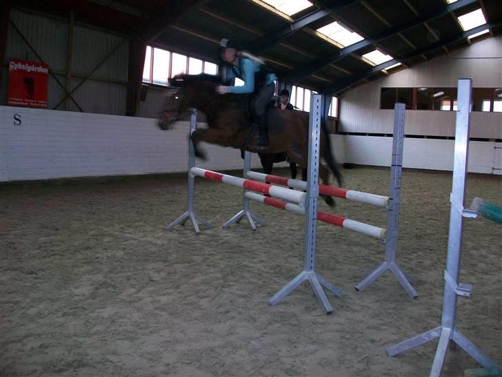 Anden særlig race Erik ;i <3 billede 12