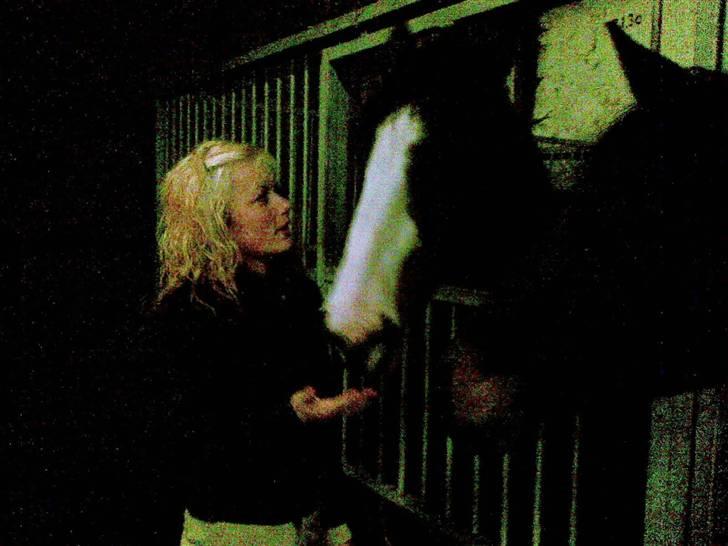 Hollandsk Varmblod Capriole Ruleko - solgt - Fordi jeg elsker dig, Prinsesse! <3 billede 15