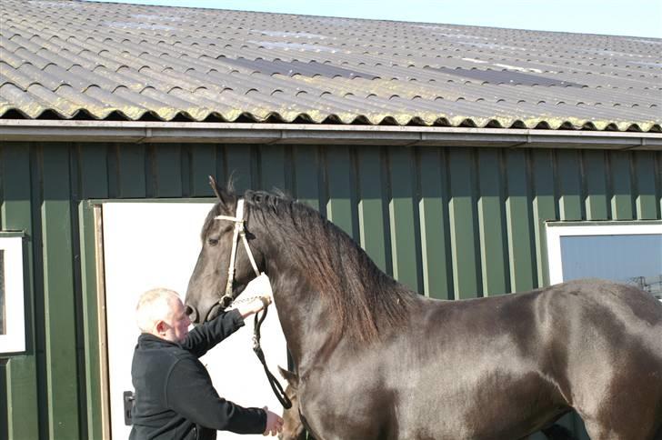 Frieser Sina vom Schifferhof billede 11