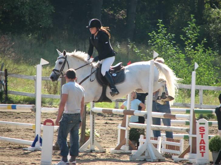 Anden særlig race La Santa - Solvang MB billede 11