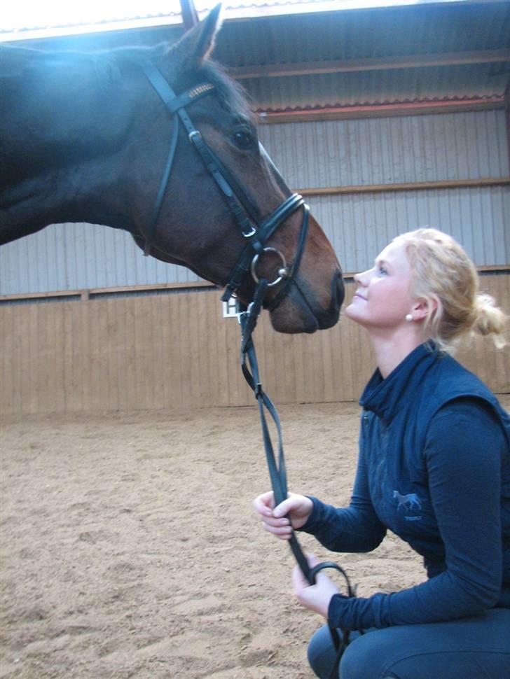 Dansk Varmblod Ansgårds Aragorn - Solgt - #9: Hygge med min trold den 14.11.09 billede 7