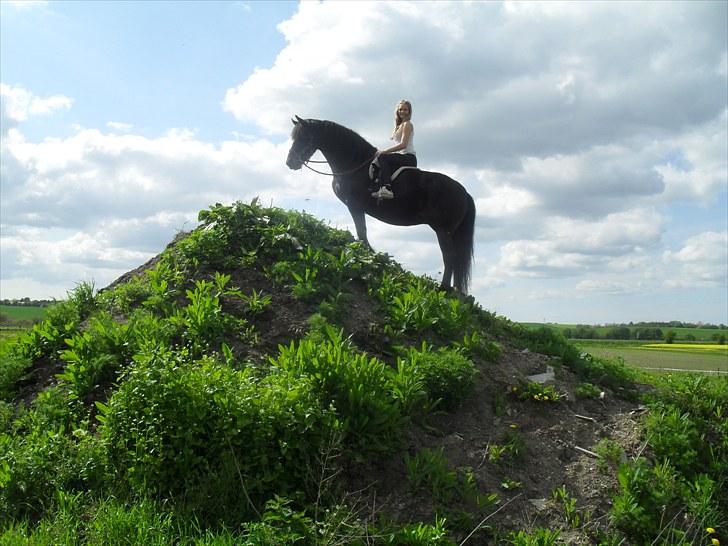 Frieser .- My Fear Lady -. billede 4