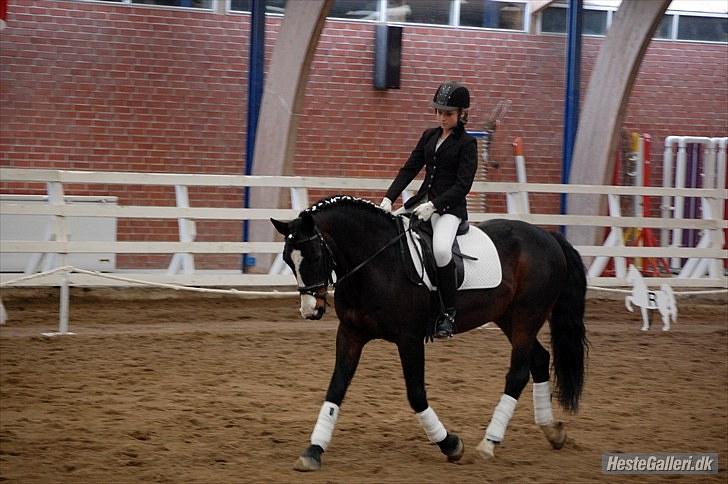 Anden særlig race Bruno Bamsen. (y) - stævne på bamsen!<3 fotograf : MDfoto billede 11