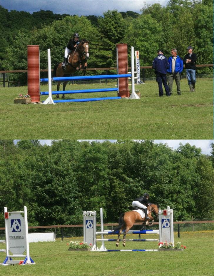 Welsh Cob (sec D) Zelma *SPRUNGET* - Stævne d. 19. juni 10- LB, vandt klassen :* Foto: Talle (L billede 17
