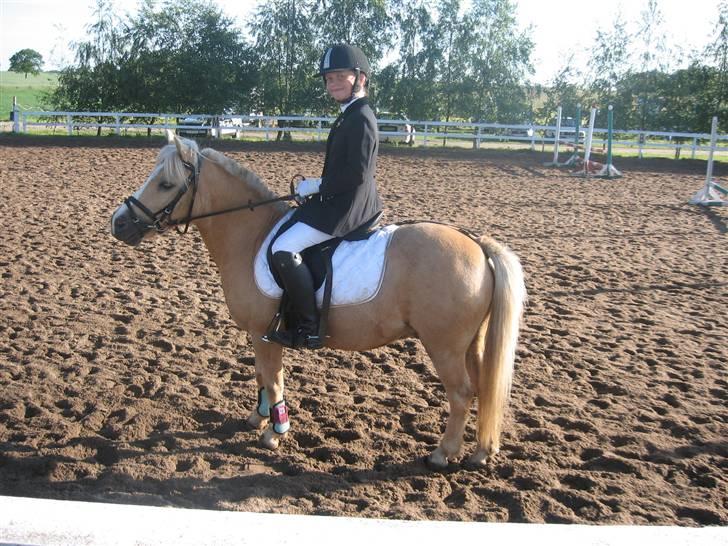 Palomino kosmo  - You turned out to be the best thing i ever had. ♥
  billede 10