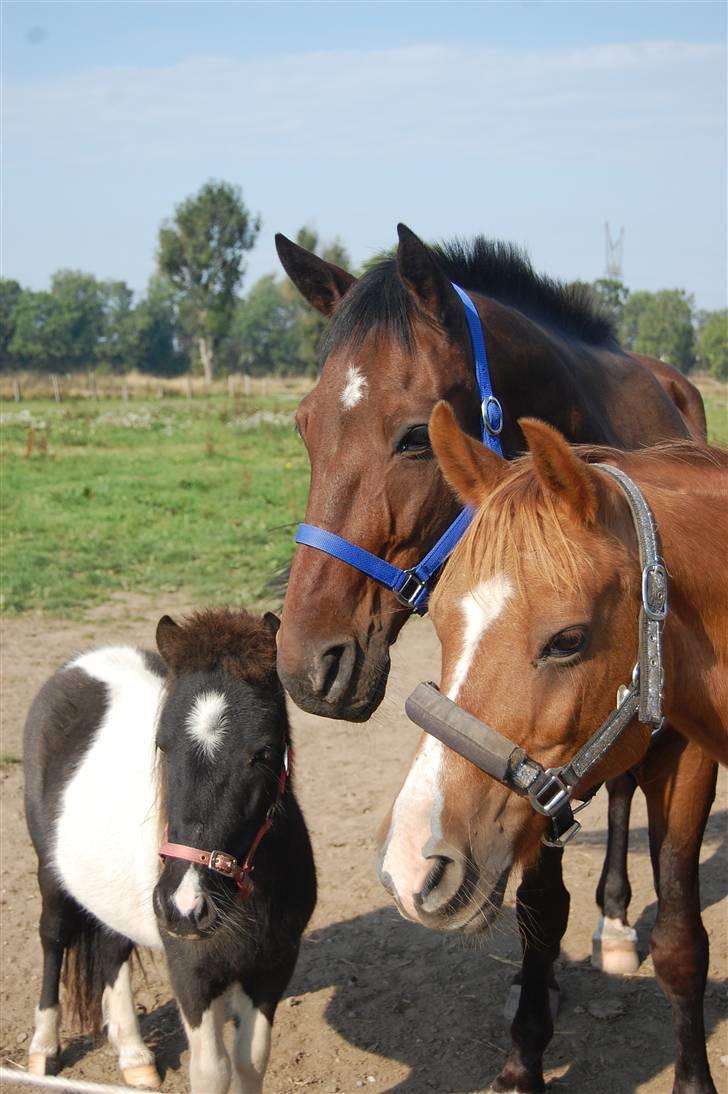 Traver Doit - tag et kig på Doits profil :)) læg en kommentar og en bedømmelse.. billede 2