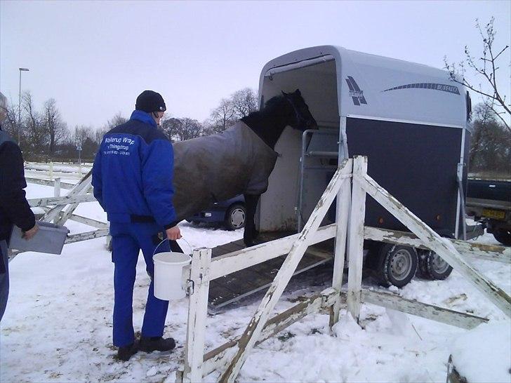 Traver Doit - du var alt! <3 -jeg savner dig! billede 15