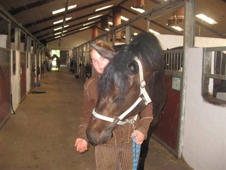 Holstener Pret A Porter (Pomfrit) billede 3