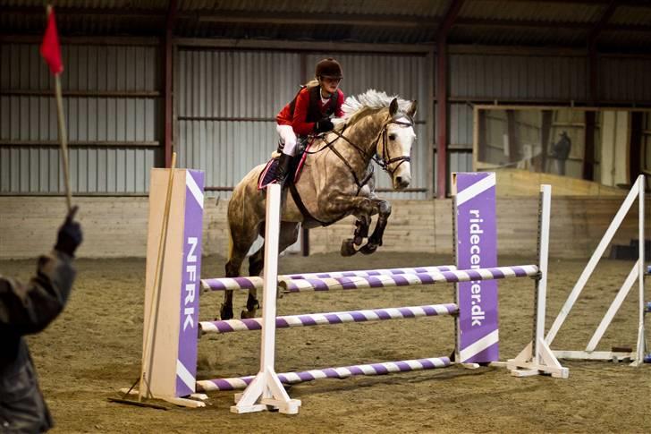 Anden særlig race Loughnatousa Inksy - LC i NFRK :) billede 20