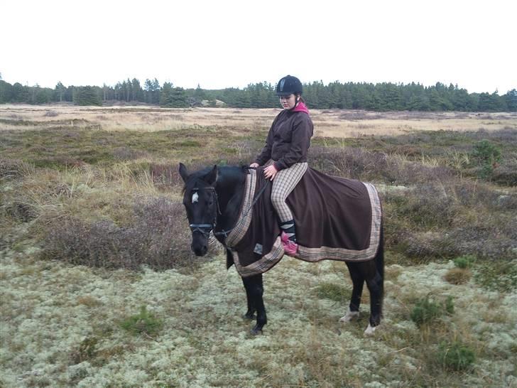 Anden særlig race Kordian gammel part billede 2