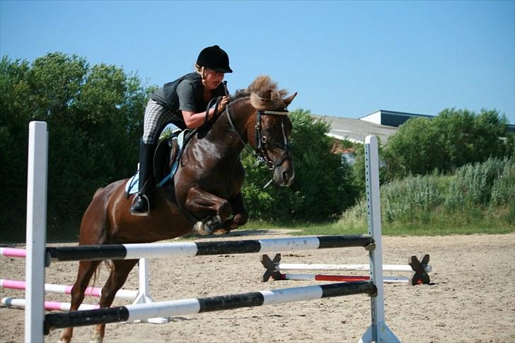 Anden særlig race Donjuan Solgt:/ - 5. det er faktisk et billede fra sidste år alt så 2010<3 billede 5