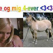 Anden særlig race Frederik (Frede)