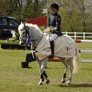 Anden særlig race Madonna (solgt)