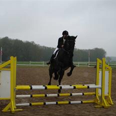 Oldenborg Lucinda -Solgt