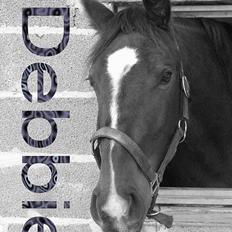 Oldenborg Kyringegårds Debbie