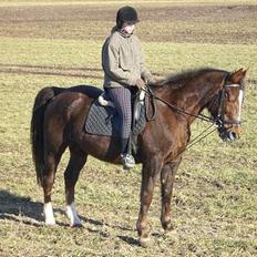 Traver Pam n s  •RIP•