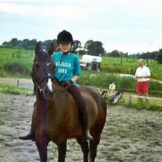 Anden særlig race Santos ¤Rideskole hest¤
