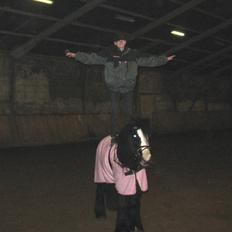 Tinker Lindholms Figaro solgt