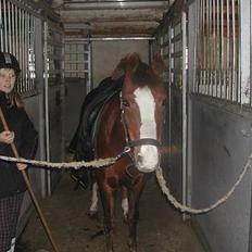 DSP Elm. Red Chess Viktoria