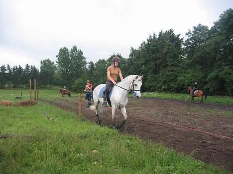 Connemara Shannon (Død) billede 19