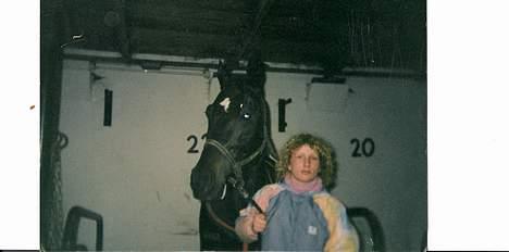 Traver Junior Røg (død) - på skovbo trav den dag vandt jeg inlænderpokalen,mette fik lov af min daværende træner at gå en tur med mig. billede 4