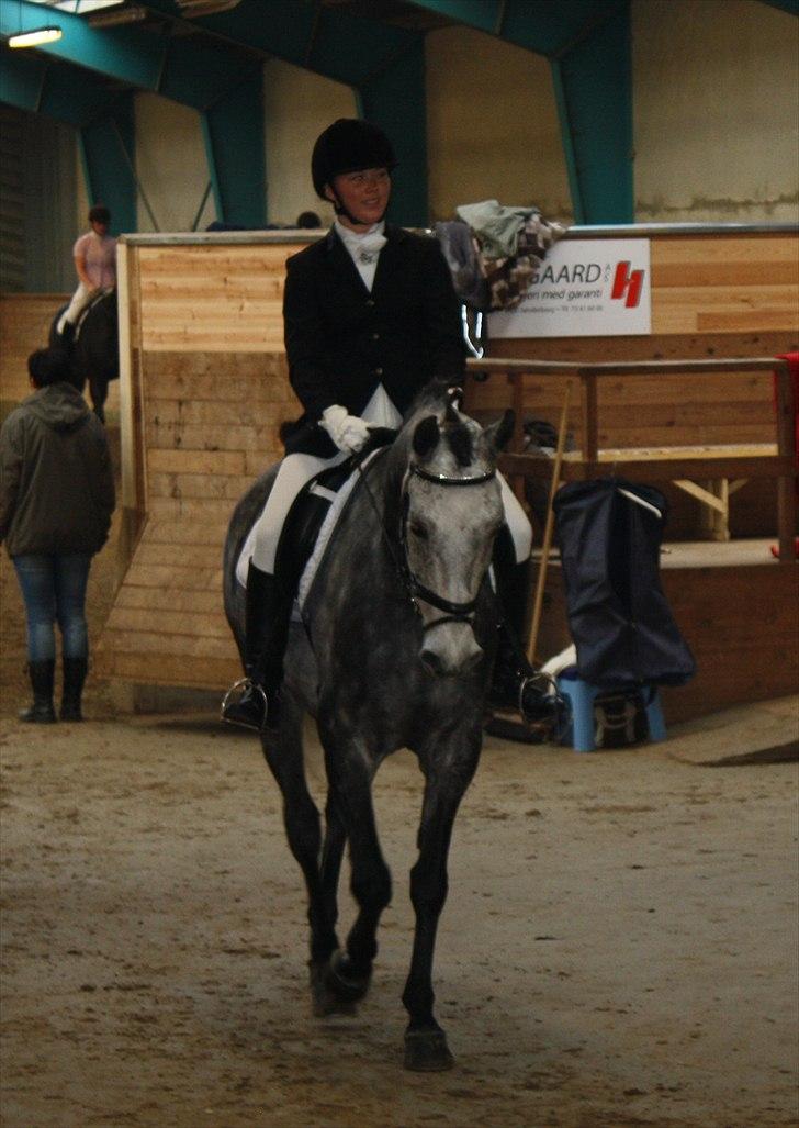 Anden særlig race Le-Cis  - 17) Lusen og jeg i Sønderborg okt. 2010 billede 8