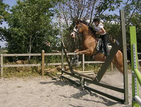 DSP Sønderlunds Chateau  - ohøj hvor vi kan (Taget af Charlotte Drachmann) billede 7