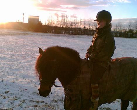 New Forest Campari - Miig og Campari  (: <33 billede 7