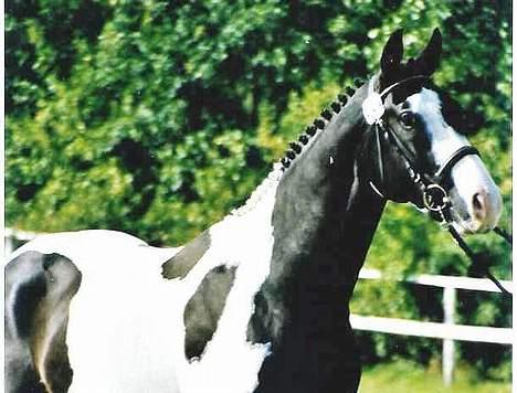 Pinto Marott's Bugatti - Fra kåringen i 2005 billede 9