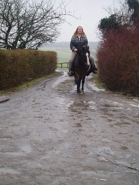 New Forest Miss Misty - Min moder på Misty, vinter 2005/06 billede 6