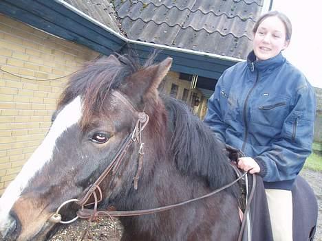 New Forest Miss Misty - Mig og Misty, vinter 2005/06 billede 8