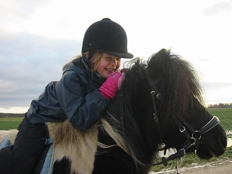 Shetlænder | Kærholms Indian  - Indian & Kirsine, de er bare sÅ! søde sammen <3 NYT! billede 16