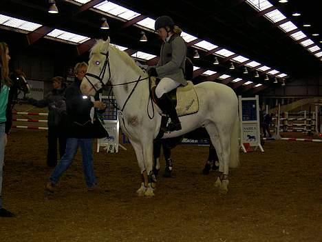 Anden særlig race unicorn(solgt) - mig og Uni til stævne vores anden 0 runde i MB billede 8