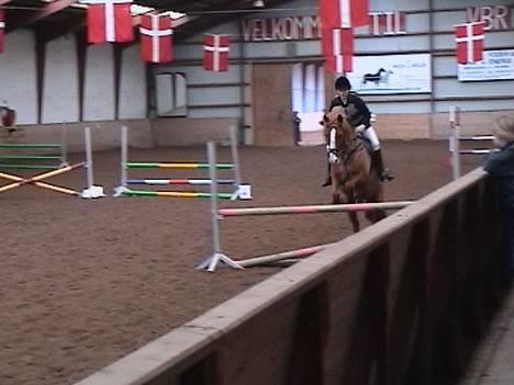 Anden særlig race Jonas R.I.P. :( billede 11