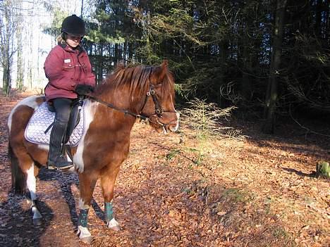 Pinto Philip ¨Solgt¨ - Vi nyder naturen <´3 billede 6