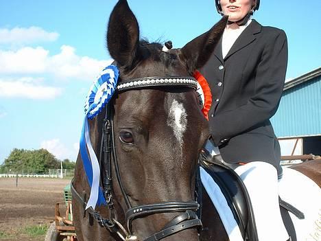 Tysk Sportspony Starlight <3 *Tøsen* *solgt* - er hun ikk smuk? den 19. august-06.. med sin 1.og 2. plads billede 10