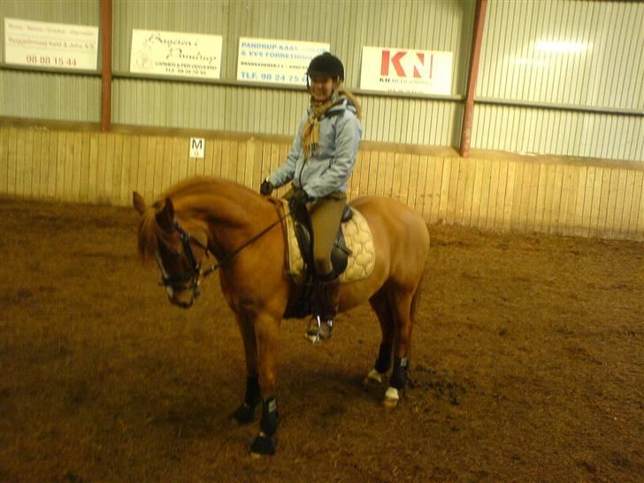 Tysk Sportspony Grand Prix 56  - miiiiin!!!! billede 14