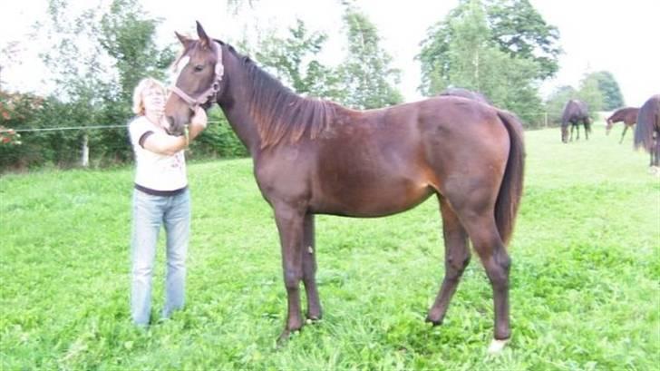 Oldenborg Kyringegårds Debbie - NYT! Første gang jeg så Debbie billede 3