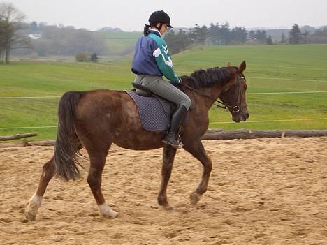 Traver Pam n s  •RIP• - Av!! du skal da ikke rykke mit hår af!!! billede 14